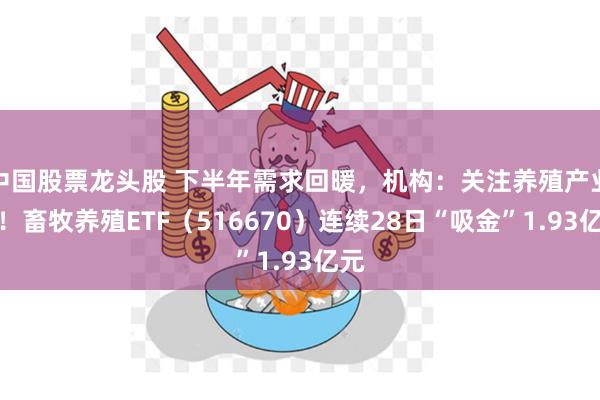 中国股票龙头股 下半年需求回暖，机构：关注养殖产业链！畜