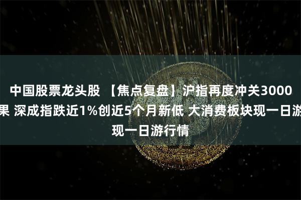 中国股票龙头股 【焦点复盘】沪指再度冲关3000点未果 深成指跌近1%创近5个月新低 大消费板块现一日游行情