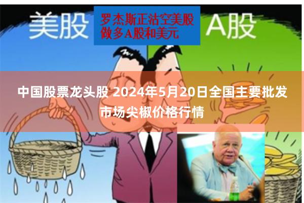 中国股票龙头股 2024年5月20日全国主要批发市场尖椒价格行情