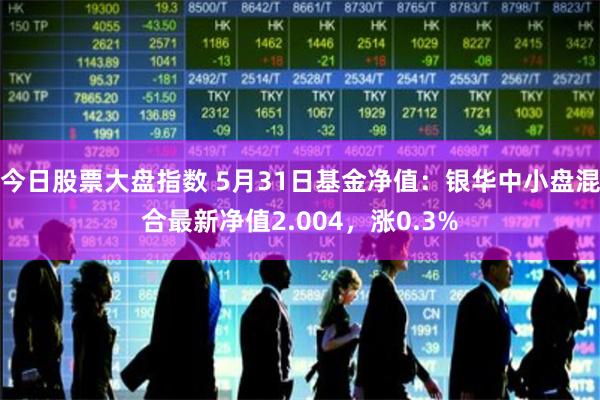 今日股票大盘指数 5月31日基金净值：银华中小盘混合最新净值2.004，涨0.3%