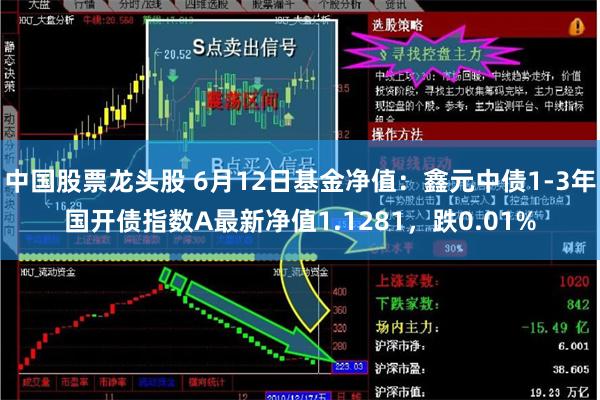 中国股票龙头股 6月12日基金净值：鑫元中债1-3年国开债指数A最新净值1.1281，跌0.01%