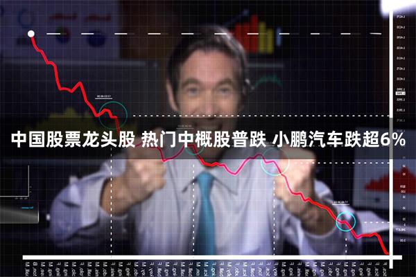 中国股票龙头股 热门中概股普跌 小鹏汽车跌超6%