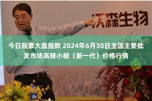 今日股票大盘指数 2024年6月30日全国主要批发市场高辣小椒（新一代）价格行情