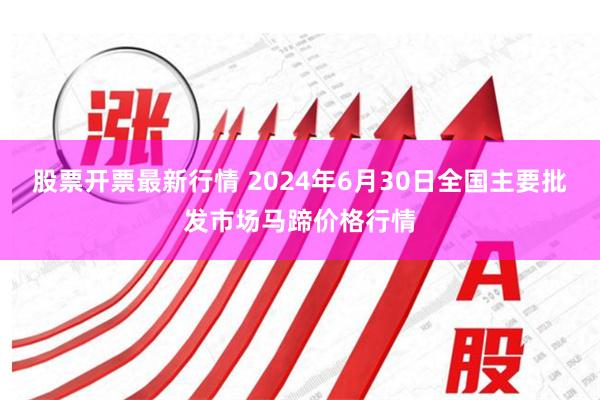 股票开票最新行情 2024年6月30日全国主要批发市场马蹄价格行情