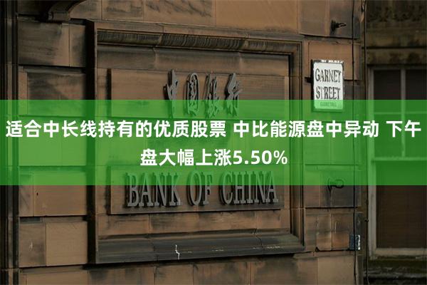 适合中长线持有的优质股票 中比能源盘中异动 下午盘大幅上涨5.50%