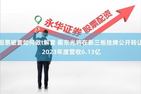 股票被套如何做t解套 蘅东光将在新三板挂牌公开转让 2023年度营收6.13亿