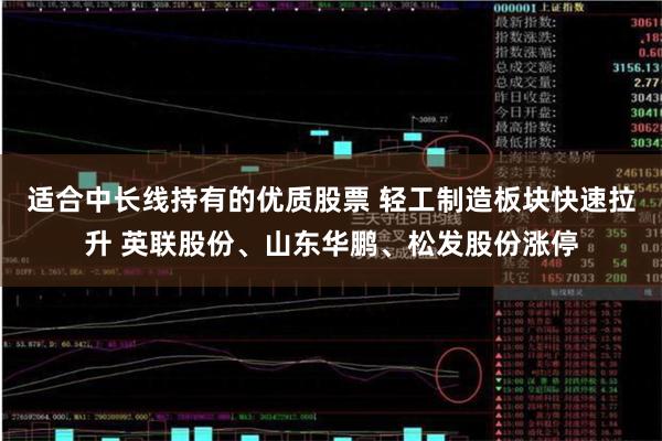 适合中长线持有的优质股票 轻工制造板块快速拉升 英联股份