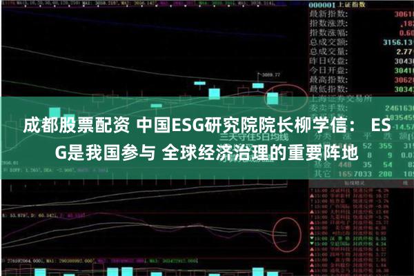 成都股票配资 中国ESG研究院院长柳学信： ESG是我国参与 全球经济治理的重要阵地