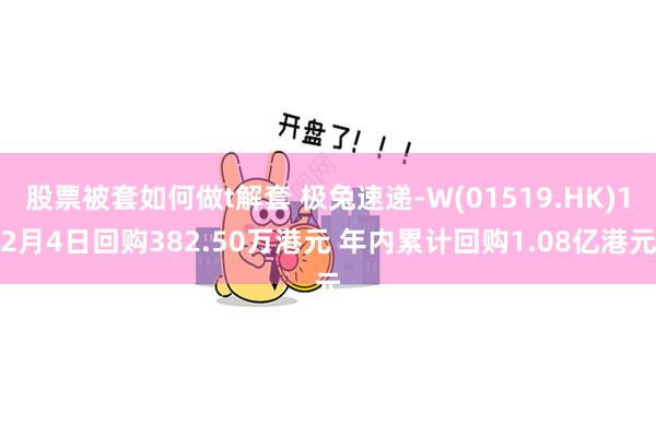 股票被套如何做t解套 极兔速递-W(01519.HK)12月